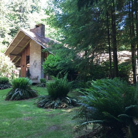 פורקס Manitou Lodge מראה חיצוני תמונה