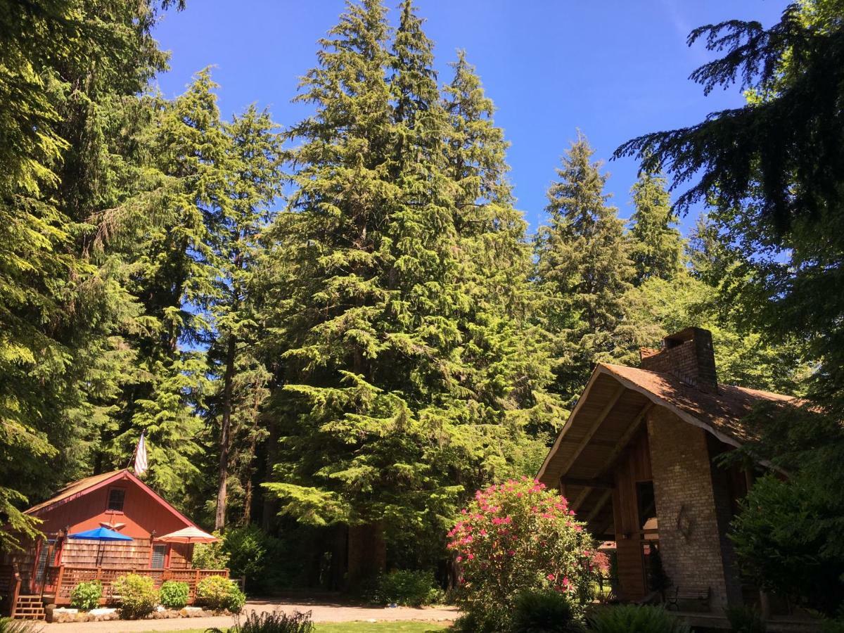 פורקס Manitou Lodge מראה חיצוני תמונה